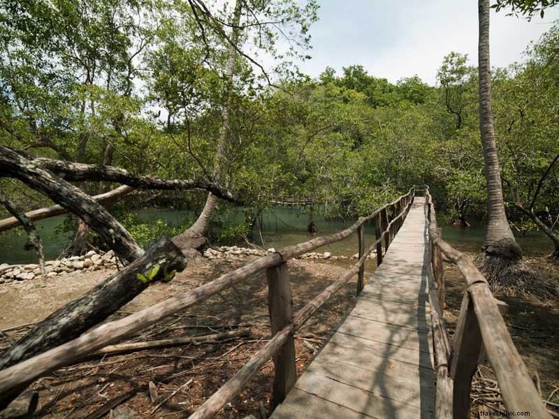 Explore Curú National Wildlife Refuge: A Biodiversity Treasure on the Nicoya Peninsula