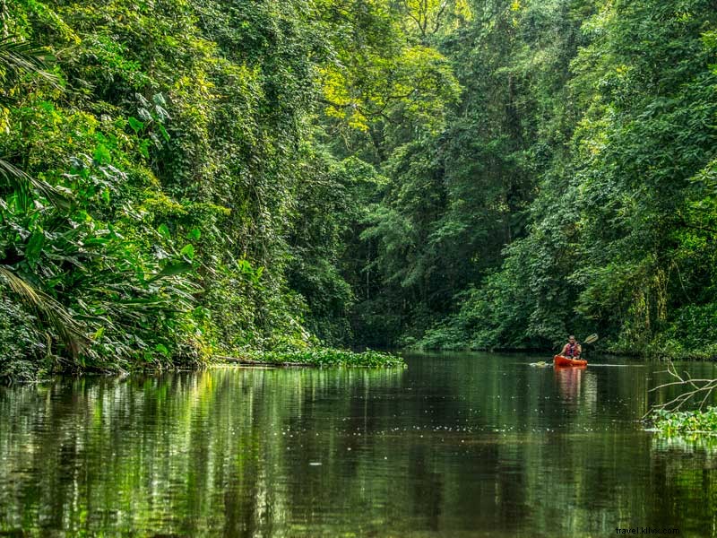 Celebrate Costa Rica: Winners of the  Who Is Essential to You  Contest Announced