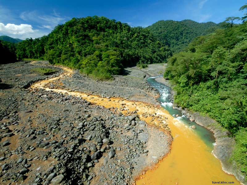 Celebrate Costa Rica: Winners of the  Who Is Essential to You  Contest Announced