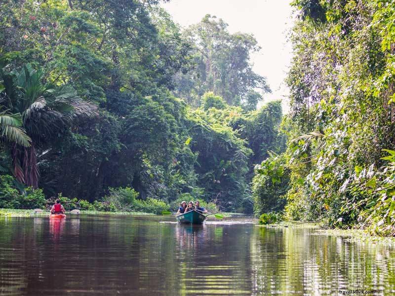 Celebrate Costa Rica: Winners of the  Who Is Essential to You  Contest Announced