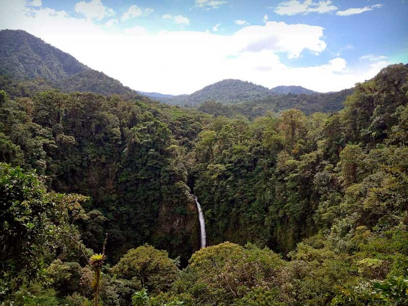 Celebrate Costa Rica: Winners of the  Who Is Essential to You  Contest Announced