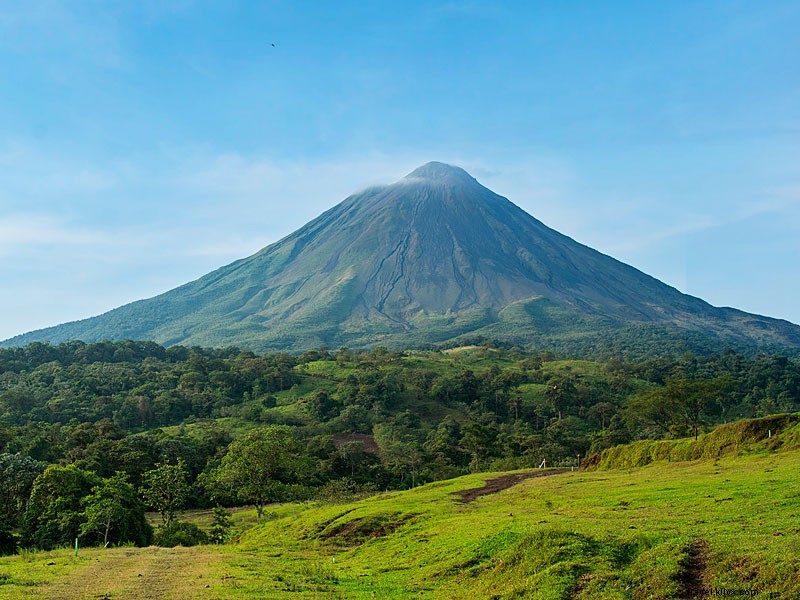 Celebrate Costa Rica: Winners of the  Who Is Essential to You  Contest Announced