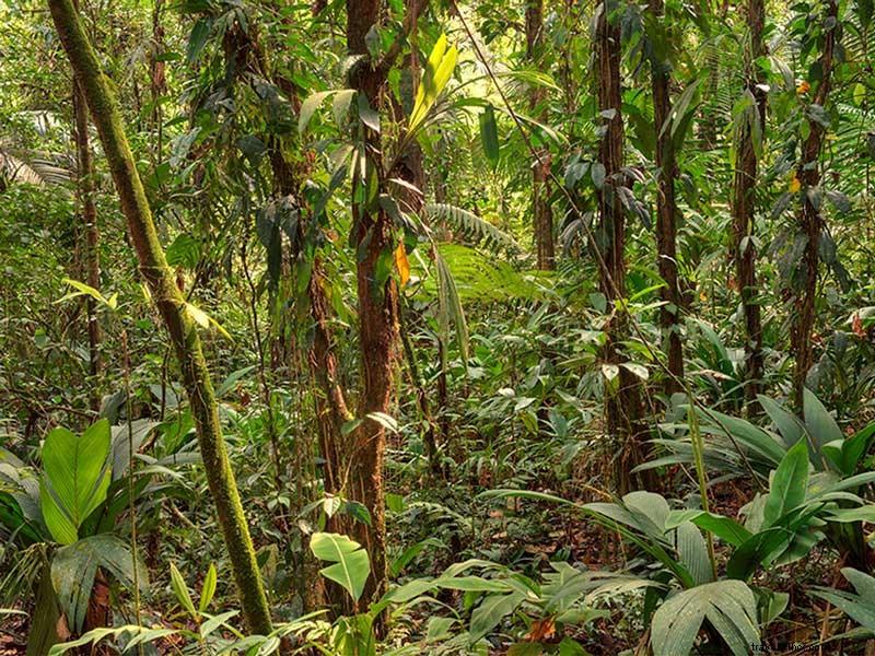 Celebrate Costa Rica: Winners of the  Who Is Essential to You  Contest Announced