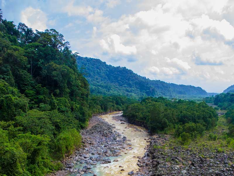 Celebrate Costa Rica: Winners of the  Who Is Essential to You  Contest Announced