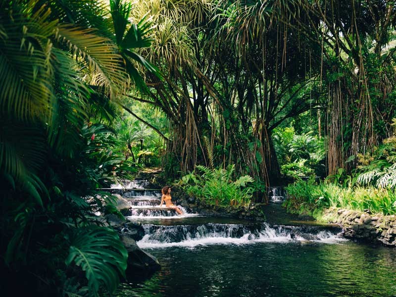 Plan Your Ultimate Costa Rica Getaway: Beaches, Rainforests, and More