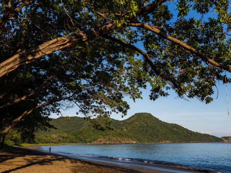 Plan Your Ultimate Costa Rica Getaway: Beaches, Rainforests, and More