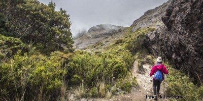 15 Unforgettable Costa Rican Adventures You Must Experience