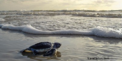 15 Unforgettable Costa Rican Adventures You Must Experience