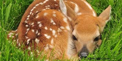 11 Astonishing Facts About Costa Rica You Must Know