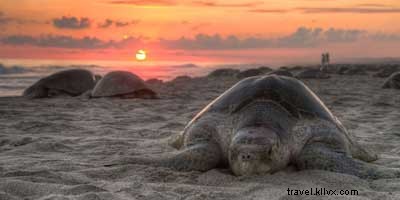 11 Astonishing Facts About Costa Rica You Must Know