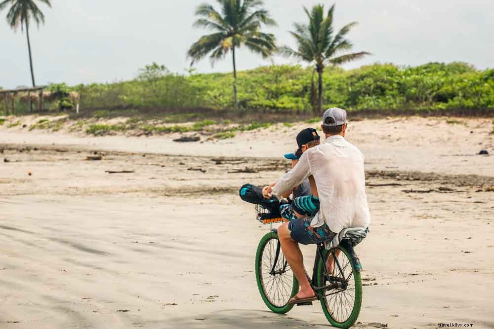 Explore Nosara, Guiones & Ostional: Surf, Yoga & Wildlife in Costa Rica