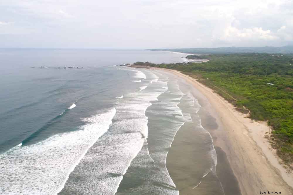 Explore Nosara, Guiones & Ostional: Surf, Yoga & Wildlife in Costa Rica