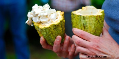 9 Must-Do Costa Rican Retreats for Relaxation & Rejuvenation