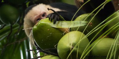 9 Must-Do Costa Rican Retreats for Relaxation & Rejuvenation