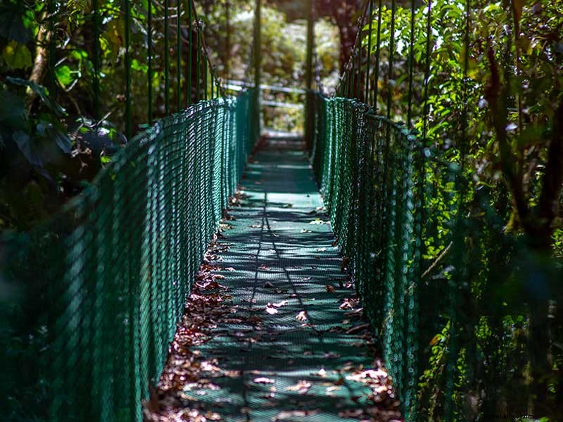 San Gerardo de Dota: A Majestic Natural Forest Experience