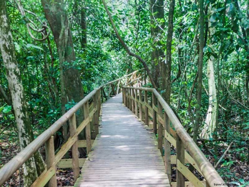 Explore Manuel Antonio s Scenic Hiking Trails: A Comprehensive Guide