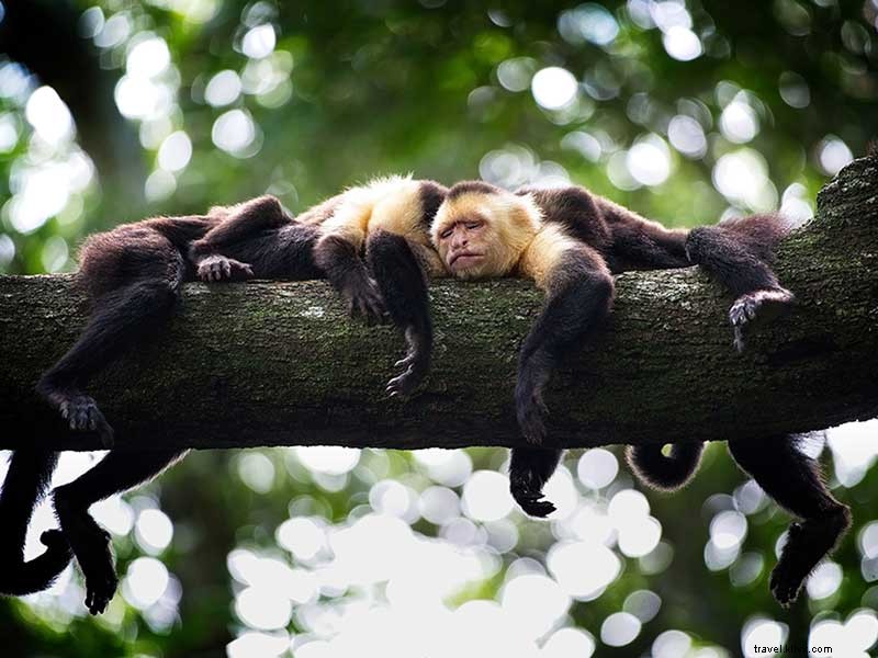 Explore Playas de Doña Ana Tourist Rest Stop: Family Beach Fun Near San José