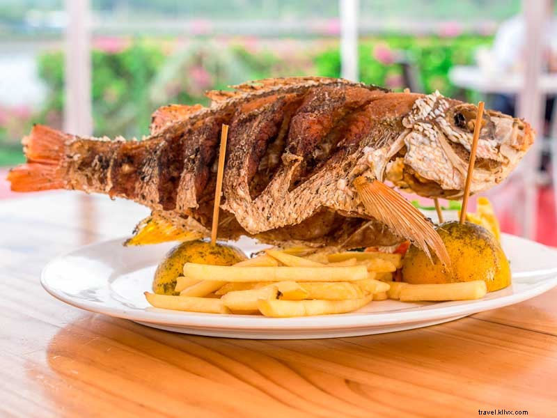 Discover Quepos: 5 Compelling Reasons to Visit Costa Rica s Coastal Gem