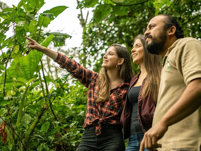 15 Fascinating Facts About Hummingbirds