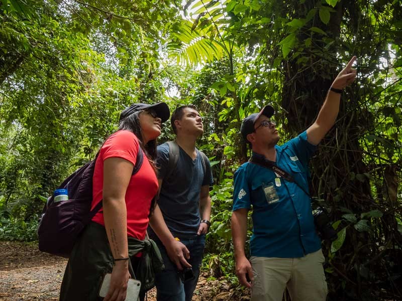 Explore the Rich History of the Guayabo National Monument