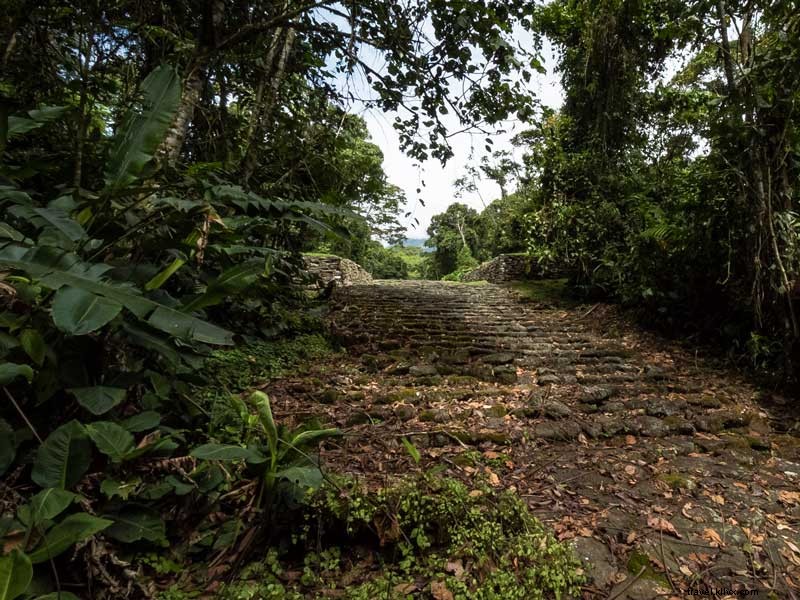 Explore the Rich History of the Guayabo National Monument