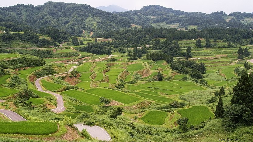 Rice: Japan s Staple Crop and Cultural Cornerstone