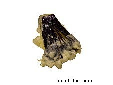 Authentic Japanese Tempura: Crispy, Lightly Battered Seafood & Veggies