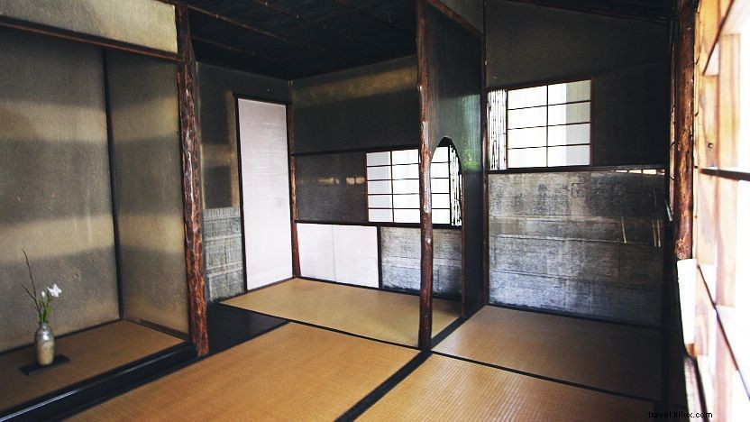 Tea in Japan: Culture, Types, and Top Growing Regions