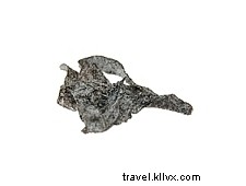 Tea in Japan: Culture, Types, and Top Growing Regions