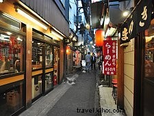 Tokyo Culinary Guide: Michelin Stars & Hidden Bites