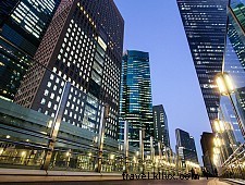 Tokyo Culinary Guide: Michelin Stars & Hidden Bites