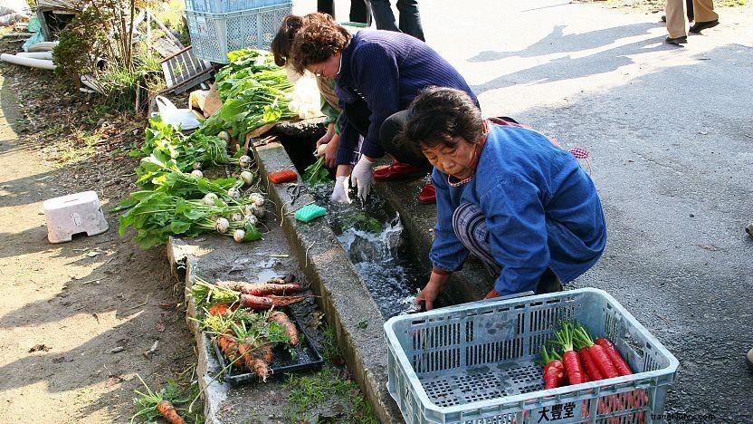Discover Kyoto’s Culinary Heritage: A Comprehensive Food Guide