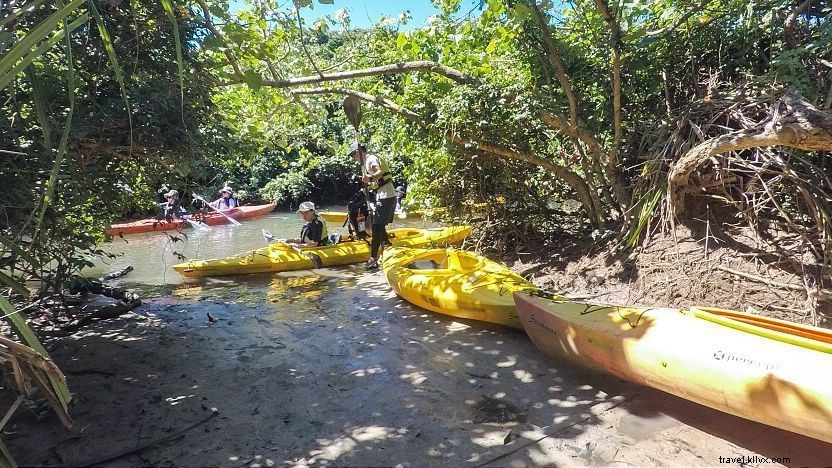 Expert Guide to Solo Travel in Japan: Safety, Accommodation, Dining, and Social Tips