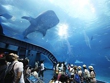 Traveling with Children in Japan: Tips for a Safe, Affordable Family Adventure