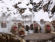 Traveling with Children in Japan: Tips for a Safe, Affordable Family Adventure