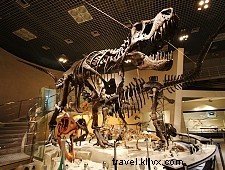 Traveling with Children in Japan: Tips for a Safe, Affordable Family Adventure