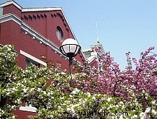 Japanese Currency: Yen, Denominations, and Usage