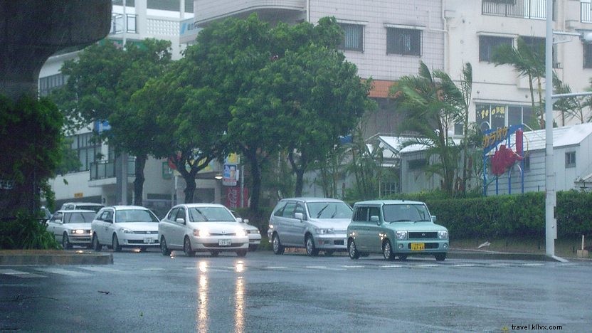 Understanding Typhoons: Formation, Impact, and Global Significance