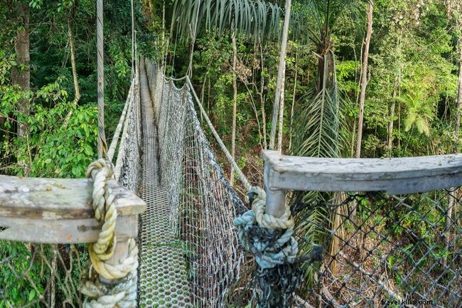 Explore the World s Top 9 Treetop Walks for Breathtaking Views