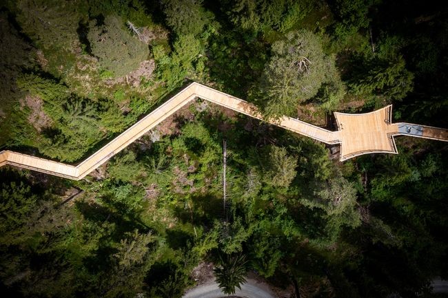 Explore the World s Top 9 Treetop Walks for Breathtaking Views