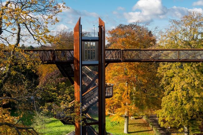 Explore the World s Top 9 Treetop Walks for Breathtaking Views