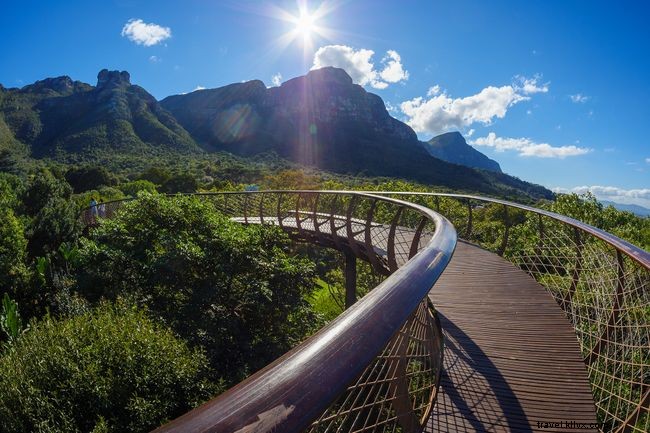 Explore the World s Top 9 Treetop Walks for Breathtaking Views