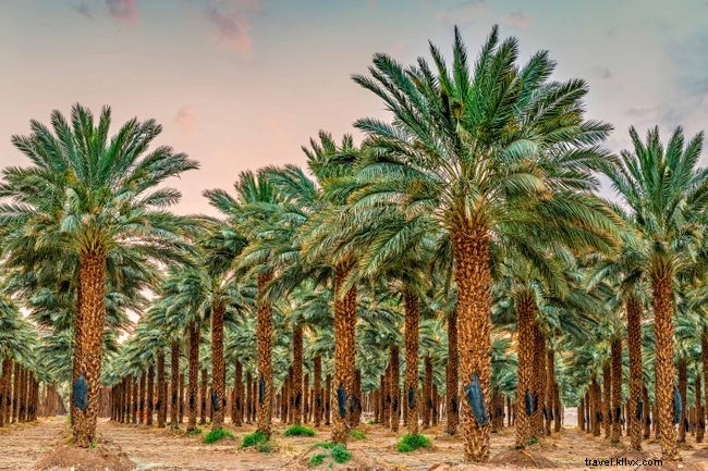 Top 8 Luxury Stays in Marrakech – Morocco’s Finest Hotels