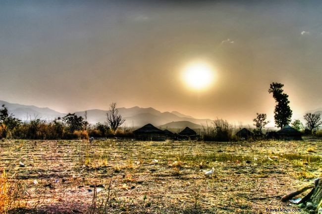 Top 7 Must‑Do Experiences in Cameroon