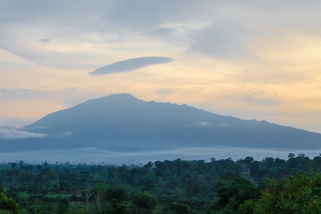 Top 7 Must‑Do Experiences in Cameroon