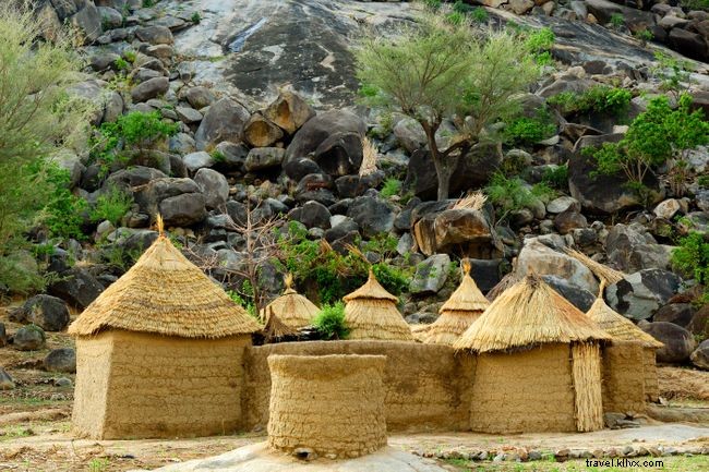 Top 7 Must‑Do Experiences in Cameroon