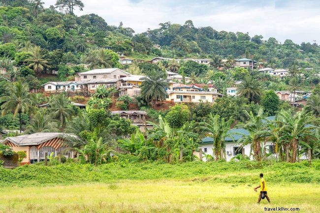 Top 7 Must‑Do Experiences in Cameroon