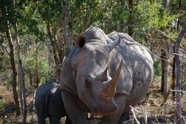 Top 5 Unforgettable African Road Trips