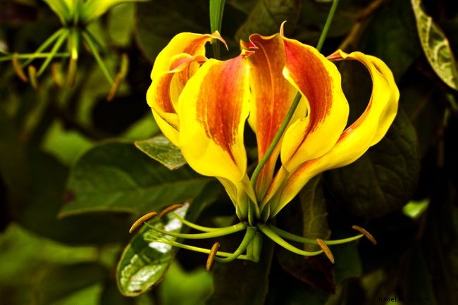 Top 5 Must-Do Activities in Harare, Zimbabwe