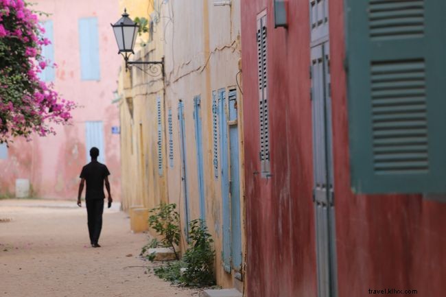 Top 5 Must-Do Experiences in Senegal